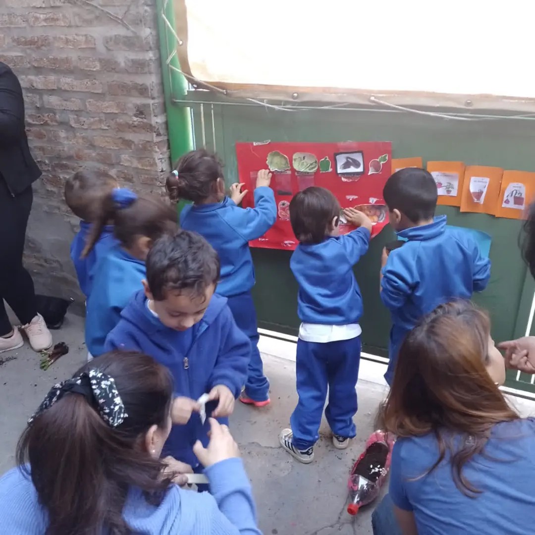 proyecto huerta inicial