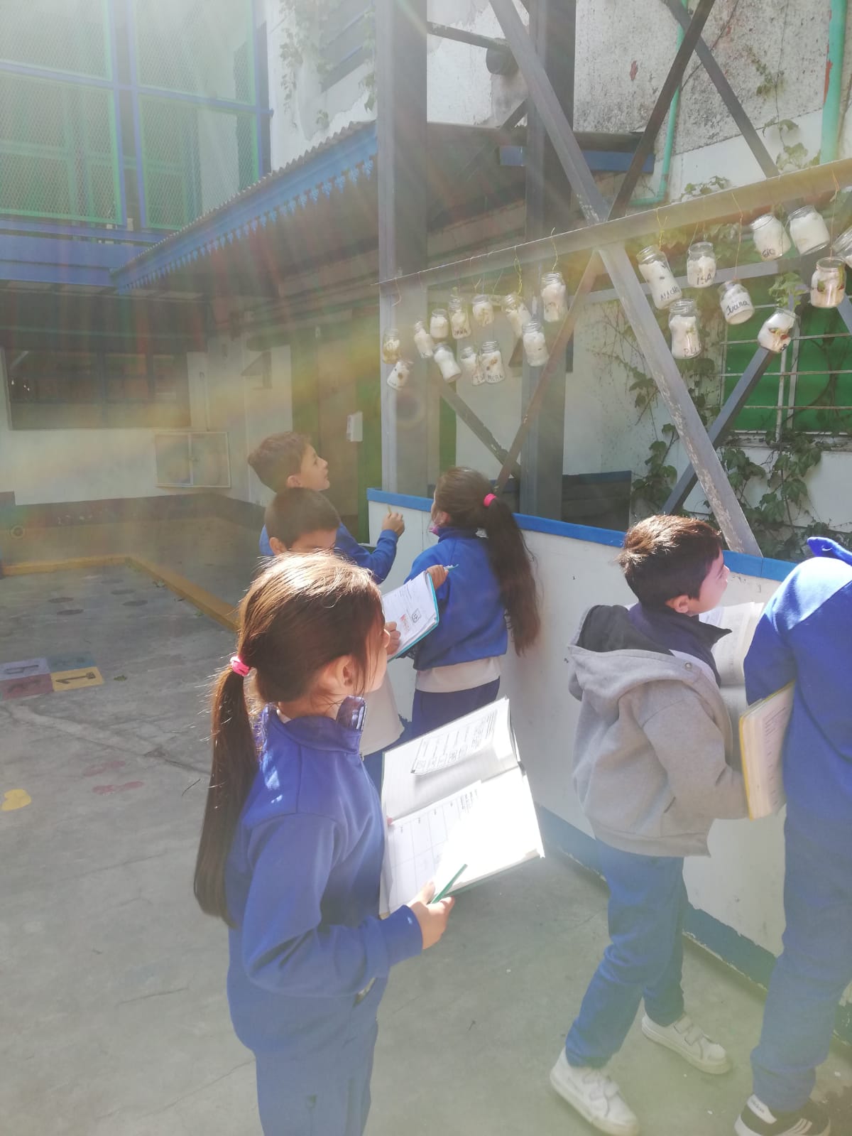 proyecto huerta primaria