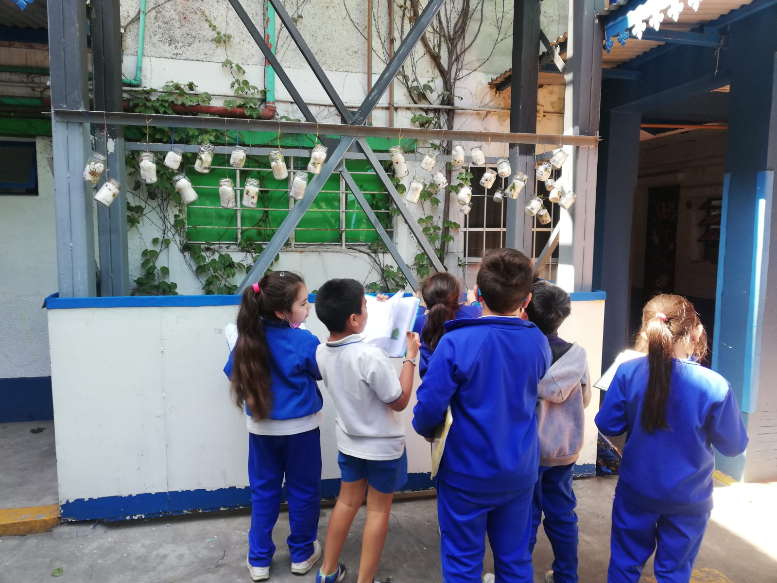 proyecto huerta